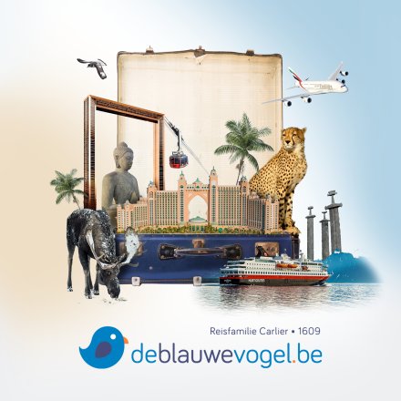 De_Blauwe_Vogel